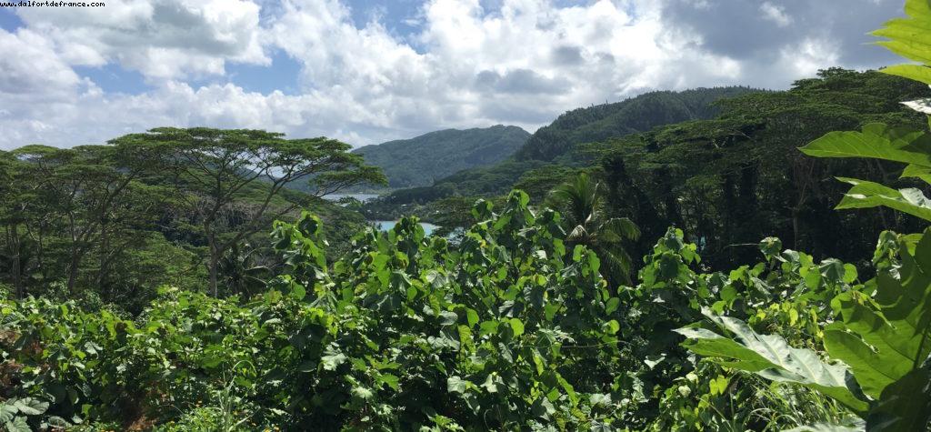 Driving around Huahine - Our 56th Atlantis cruise (Oceania Marina)