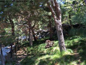 California Adventure - Disneyland California