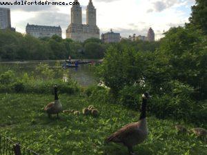 Central Park - New York City