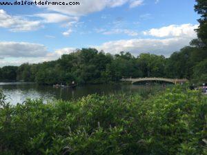 Central Park - New York City