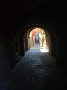 Tuscania - Lazio - Italy - Our 58th Atlantis cruise (Eurodam)