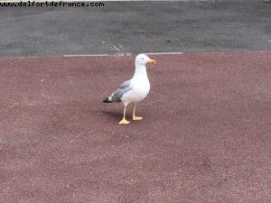 Monaco - Our 59th Atlantis cruise (Celebrity Equinox)