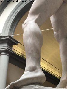 Michelangelo - David - 1504 - Galleria del Academia - Florence - Our 59th Atlantis cruise (Celebrity Equinox)