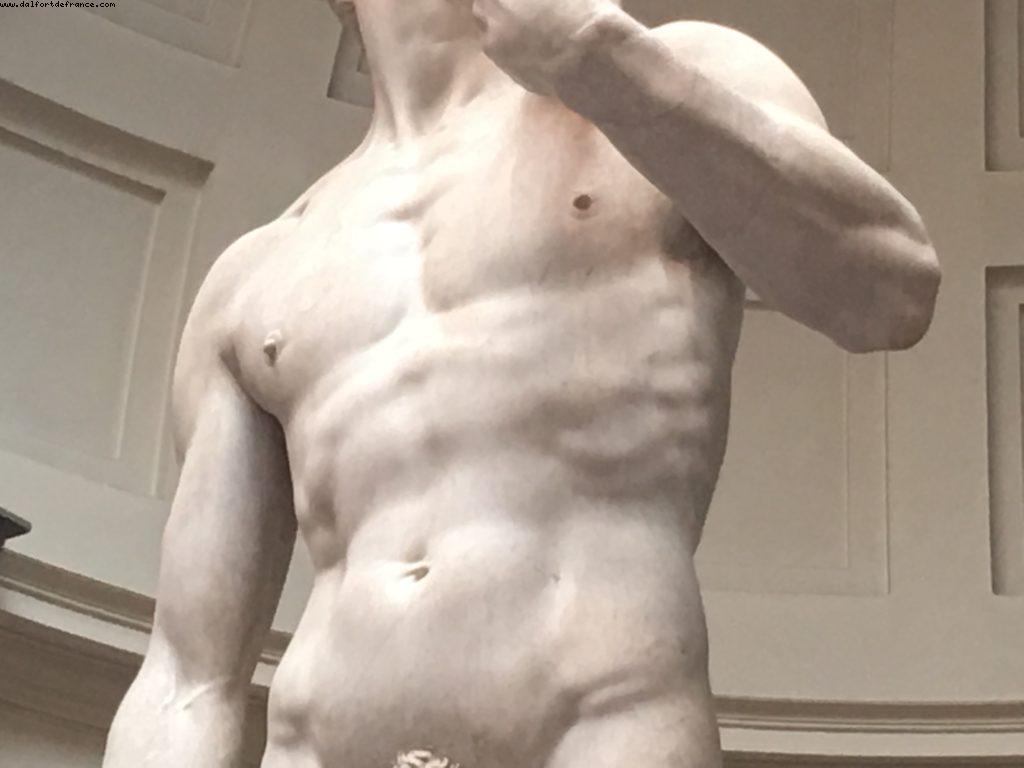 Michelangelo - David - 1504 - Galleria del Academia - Florence - Our 59th Atlantis cruise (Celebrity Equinox)