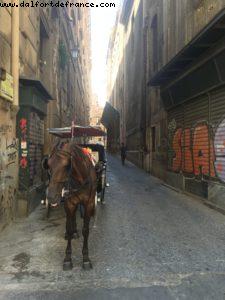 Palermo - Our 59th Atlantis cruise (Celebrity Equinox)