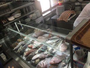 Katina restaurant - Oia - Santorini - Our 59th Atlantis cruise (Celebrity Equinox)