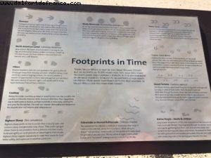 Driving from Las Vegas