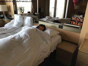 Pumpkin invasion all over the Ship! - Our 60th Atlantis cruise (Westerdam)