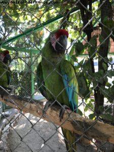 Puerto Vallarta - Our 60th Atlantis cruise (Westerdam)