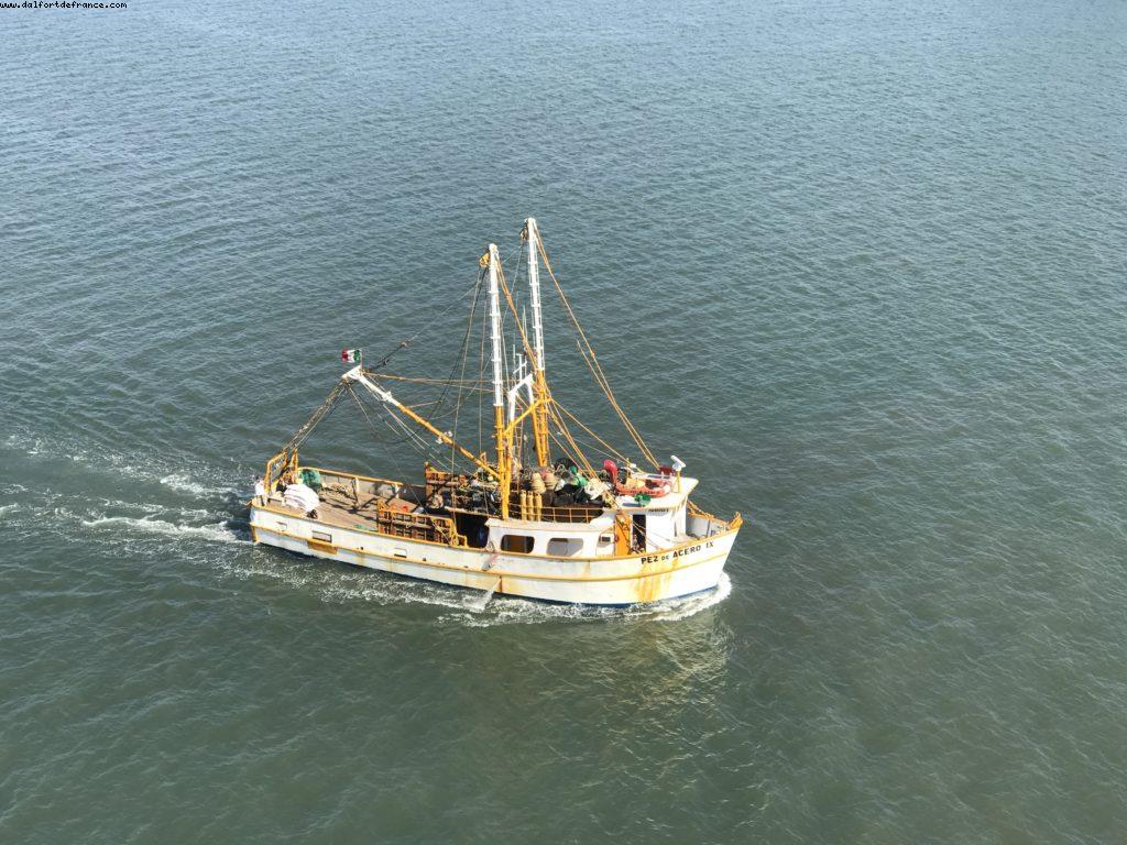 Mazatlan - Our 60th Atlantis cruise (Westerdam)