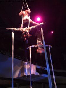 Amazing Les Farfadais show - Our 60th Atlantis cruise (Westerdam)