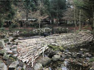 Hotel Sequoia Lodge - Premiere Moana - Disneyland Paris (December 2016)