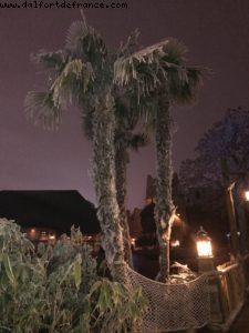 Happy New Year! - Magic Kingdom - Disneyland Paris