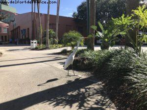 Hôtel Swan & Dolphin - Walt Disney World