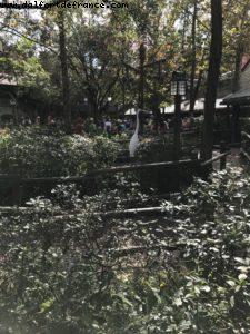 Magic Kingdom - Walt Disney World