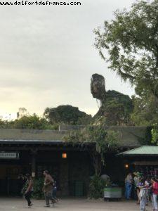 Travaux d'Avatar (Pandora) - Animal kingdom - Walt Disney World
