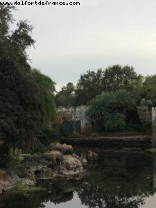 Travaux d'Avatar (Pandora) - Animal kingdom - Walt Disney World