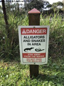 Boardwalk - Walt Disney World