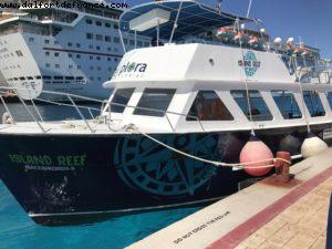 Observation des poissons à Cozumel - Notre 61eme croisière Atlantis (à bord de l'Allure of the Seas)