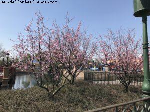 Gardens of Imagination - Shanghai Disneyland