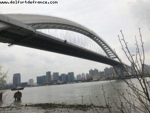 Expo 2010 area - Shanghai