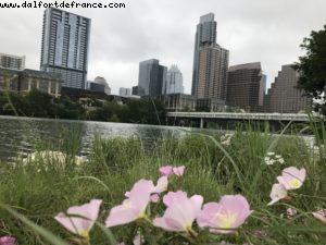 Austin