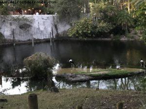 Animal Kingdom - Walt Disney World