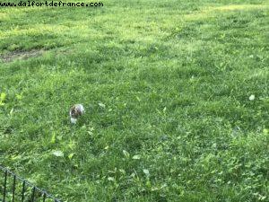 Central Park - Ville de New York