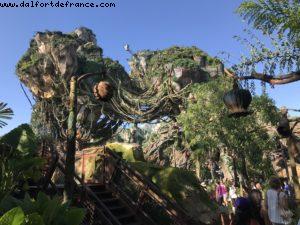 Pandora - Animal Kingdom - Disney Gaydays - Walt Disney World - Orlando