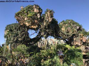 Pandora - Animal Kingdom - Disney Gaydays - Walt Disney World - Orlando