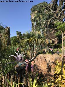 Pandora - Animal Kingdom - Disney Gaydays - Walt Disney World - Orlando