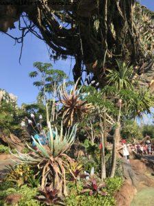 Pandora - Animal Kingdom - Disney Gaydays - Walt Disney World - Orlando