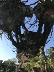 Pandora - Animal Kingdom - Disney Gaydays - Walt Disney World - Orlando