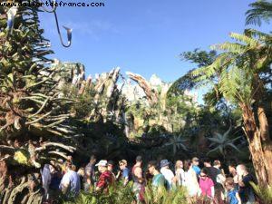 Pandora - Animal Kingdom - Disney Gaydays - Walt Disney World - Orlando