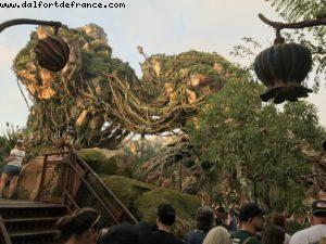 Pandora - Animal Kingdom - Disney Gaydays - Walt Disney World - Orlando