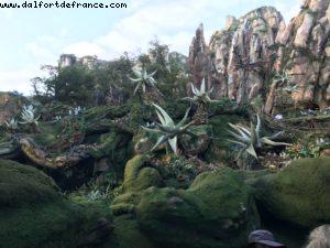 Avatar Flight of Passage - Pandora - Animal Kingdom - Disney Gaydays - Walt Disney World - Orlando