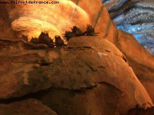 Avatar Flight of Passage - Pandora - Animal Kingdom - Disney Gaydays - Walt Disney World - Orlando