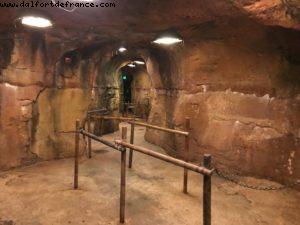 Avatar Flight of Passage - Pandora - Animal Kingdom - Disney Gaydays - Walt Disney World - Orlando