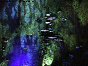 Avatar Flight of Passage - Pandora - Animal Kingdom - Disney Gaydays - Walt Disney World - Orlando