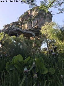 Pandora - Animal Kingdom - Disney Gaydays - Walt Disney World - Orlando