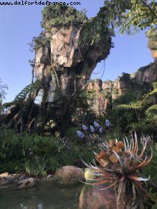 Pandora - Animal Kingdom - Disney Gaydays - Walt Disney World - Orlando
