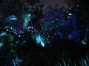Pandora de nuit - Animal Kingdom - Disney Gaydays - Walt Disney World - Orlando