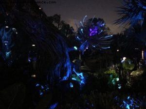 Pandora de nuit - Animal Kingdom - Disney Gaydays - Walt Disney World - Orlando