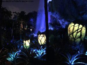 Pandora de nuit - Animal Kingdom - Disney Gaydays - Walt Disney World - Orlando