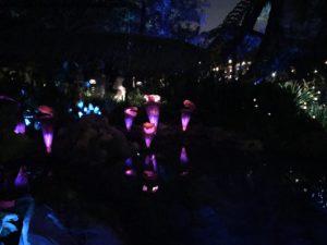 Pandora de nuit - Animal Kingdom - Disney Gaydays - Walt Disney World - Orlando