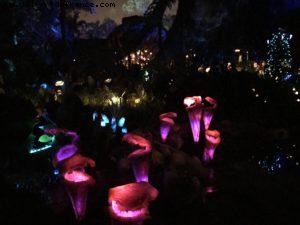 Pandora de nuit - Animal Kingdom - Disney Gaydays - Walt Disney World - Orlando