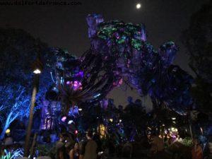 Pandora de nuit - Animal Kingdom - Disney Gaydays - Walt Disney World - Orlando