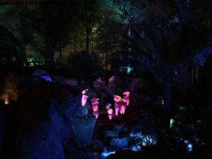 Pandora de nuit - Animal Kingdom - Disney Gaydays - Walt Disney World - Orlando