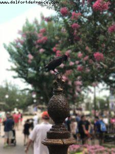 Magic Kingdom - Walt Disney World