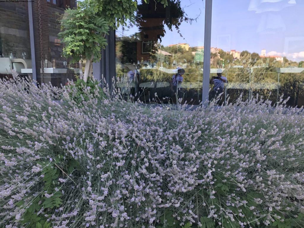 Restaurant Hisa Torkla - Tomaz Private tour - Koper - Our 62nd Atlantis cruise (Celebrity Constellation)